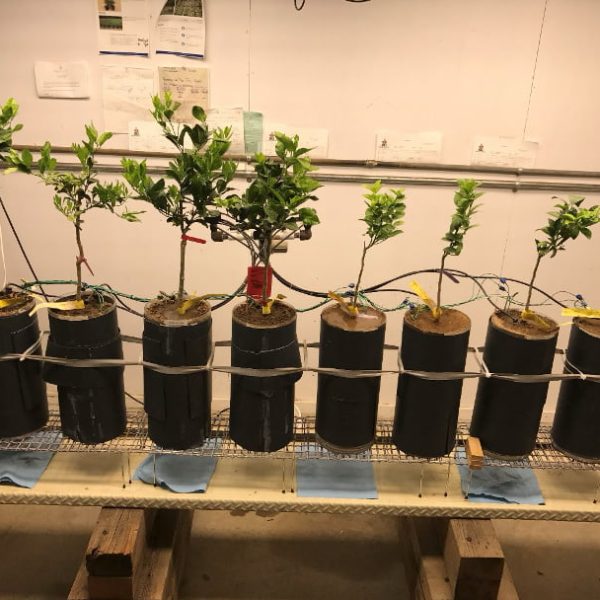 Flobond EC