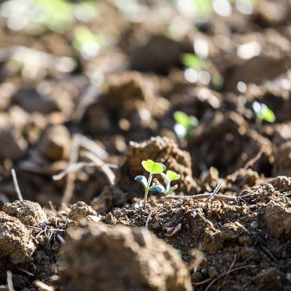 SNF-agriculture-flobond-spray-33-aquasave