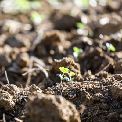 SNF-agriculture-flobond-spray-33-aquasave