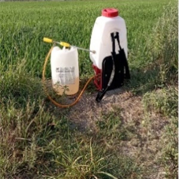 TURKIYE – RICE – LX50 ANTI SALT