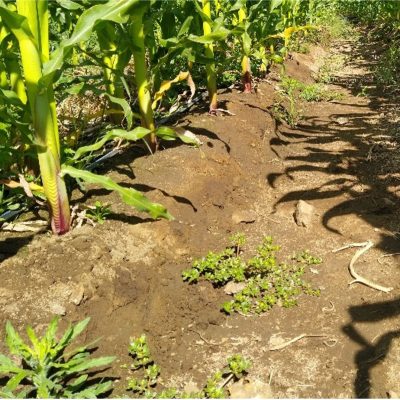 Treatment- Flobond Flobond DI2010 water Saver