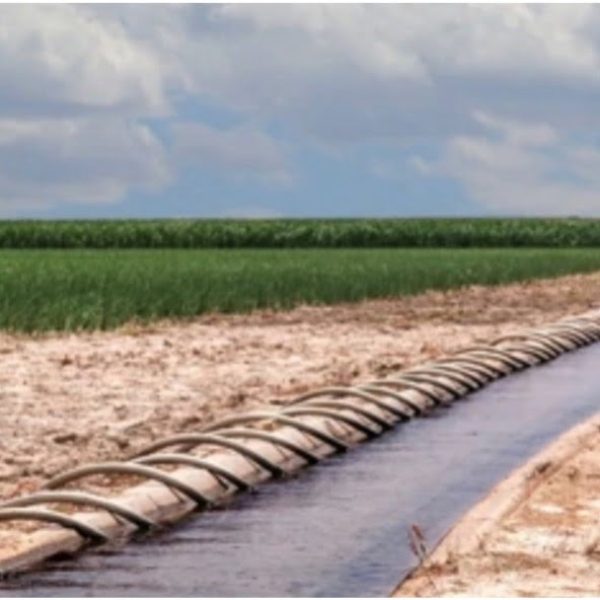 USA All Crop Fb A30 left