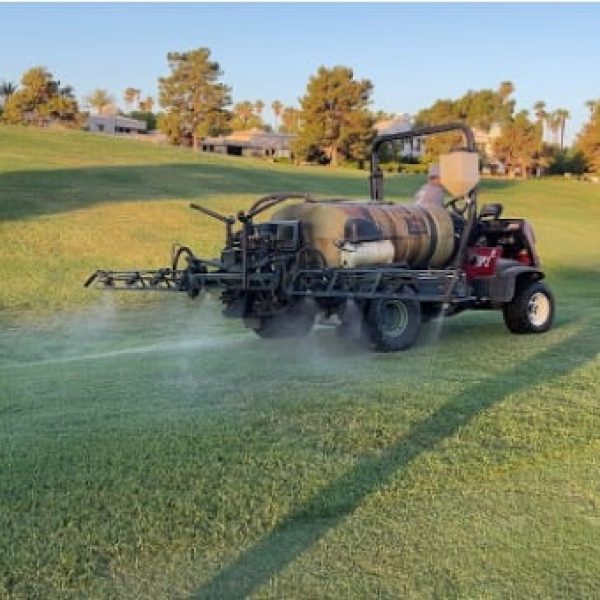 USA GRASS Fb CCAMS 50 Golf Las Vegas Tony Kevin 2022 1