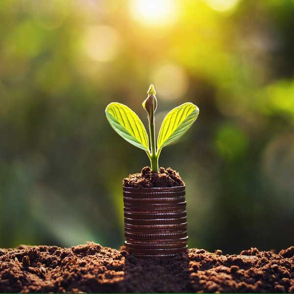 snf-agriculture-money-saving