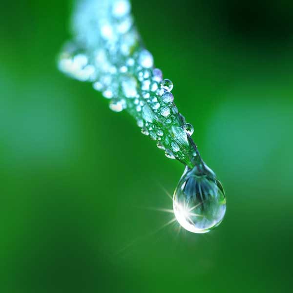 snf-agriculture-water-saving