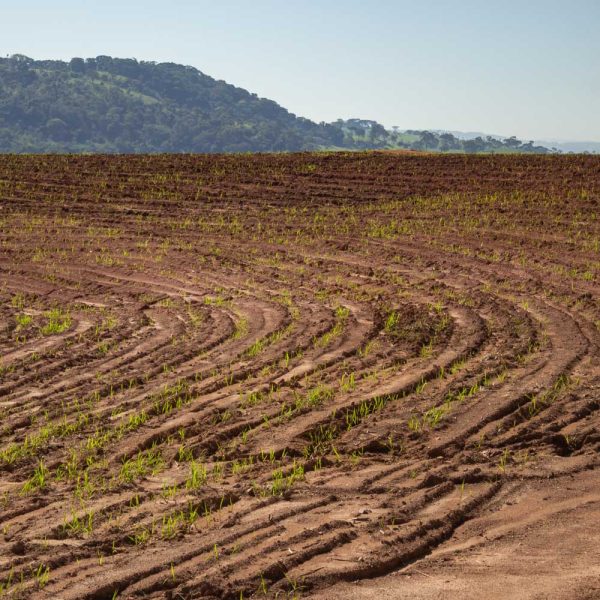 snf-flobond-a30-soil-crusting-erosion-control